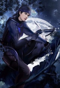 医本正锦